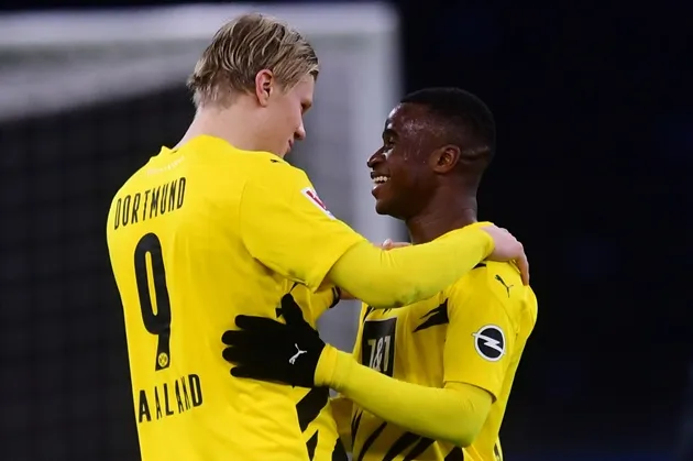 Haaland and Moukoko can play together, says Dortmund coach Terzic - Bóng Đá