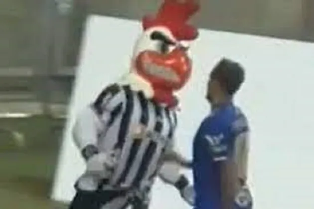 Bad boy Atletico Mineiro rooster mascot gets ban for 'intimidatory' behaviour - Bóng Đá