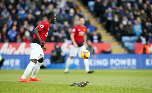 Những điều có thể bỏ lỡ vòng 25 Premier League tối qua: Mảnh giấy 'diệt' Quỷ đỏ! - Bóng Đá