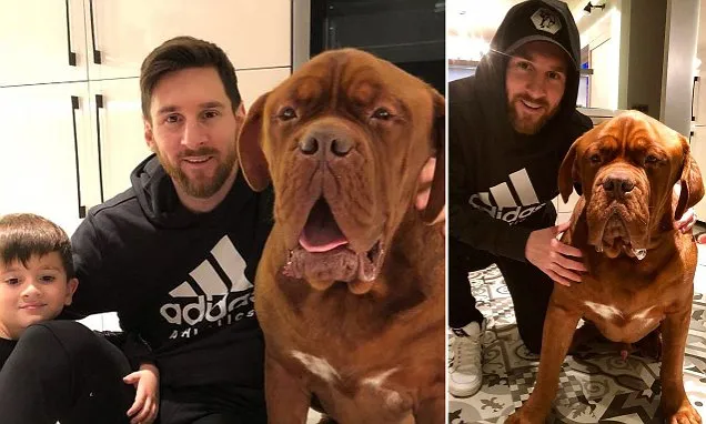 Messi đá bóng, chó khủng cũng mệt đừ - Bóng Đá