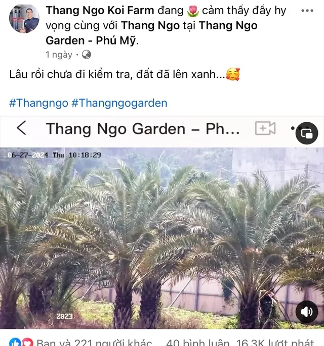vua-ca-koi-thang-ngo-co-dong-thai-moi-sau-khi-vut-nhan-cuoi-voi-ha-thanh-xuan-2