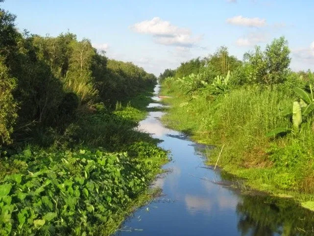 5.nhung-dia-diem-du-lich-cho-ky-nghi-30-4-1-5-5-tai-kien-giang-phunutoday.vn