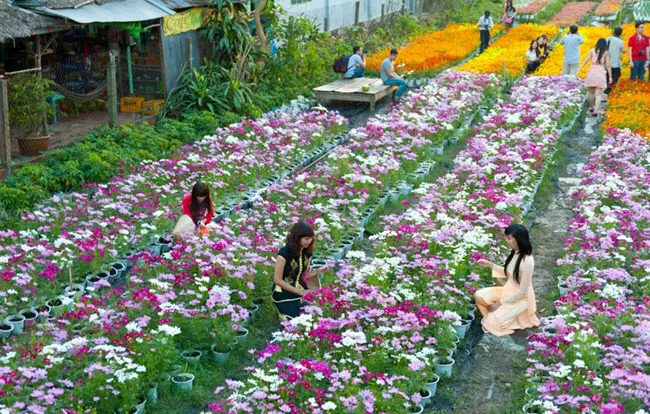 3.nhung-dia-diem-du-lich-o-hai-phong-trong-ngay-30-4-1-5-6-phunutoday.vn