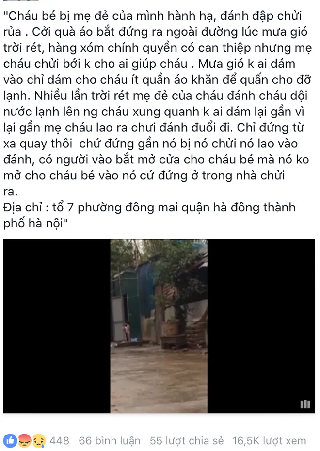 tran tinh cua nguoi me 4