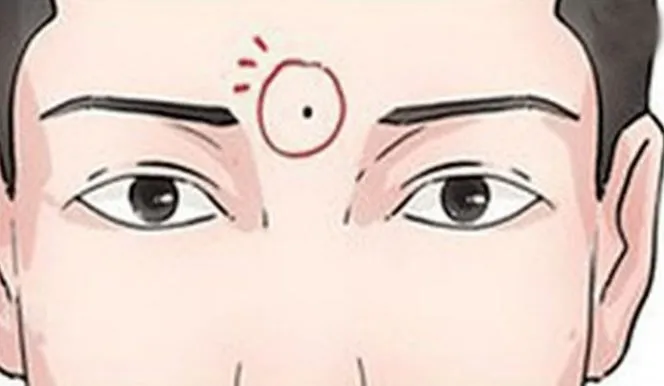 tuong-dan-ong-vat-va-01