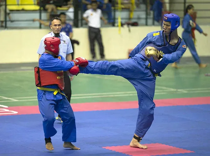 Káº¿t quáº£ hÃ¬nh áº£nh cho tráº§n ngá»c tÃº vovinam