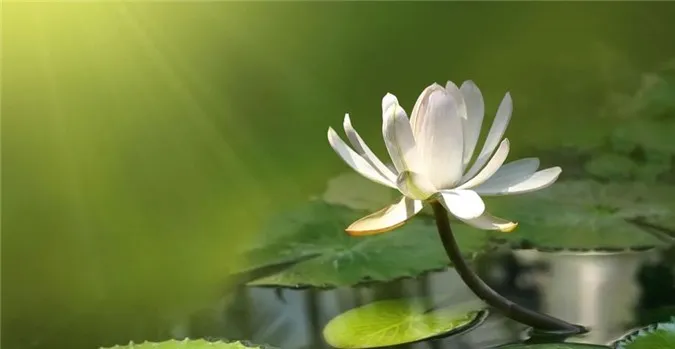 3-kieu-nguoi-cang-song-cang-kho-O-doi-neu-qua-luong-thien-cung-se-chuoc-lay-tai-uong_2