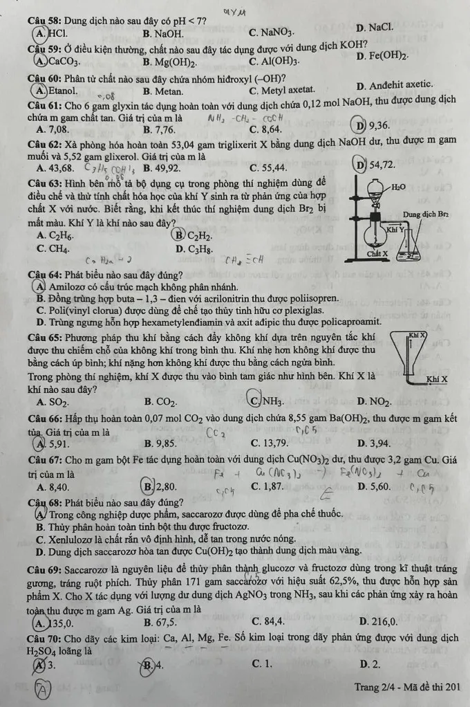 chi-tiet-de-thi-to-hop-khoa-hoc-tu-nhien-ky-thi-tot-nghiep-thpt-2024 (22)