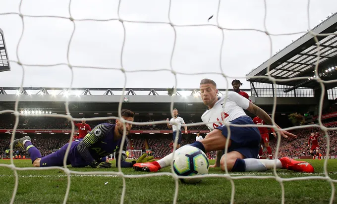 CĐV Tottenham: 