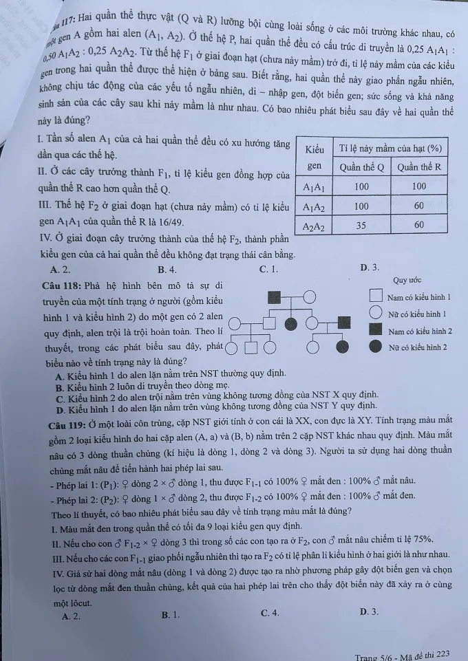 chi-tiet-de-thi-to-hop-khoa-hoc-tu-nhien-ky-thi-tot-nghiep-thpt-2024 (15)