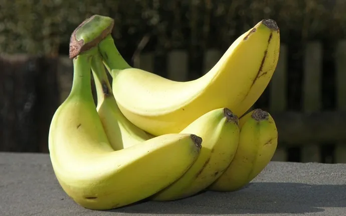 bananas