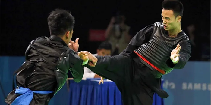 Kết quả hình ảnh cho pencak silat việt nam