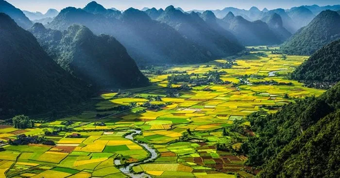 Cánh đồng lúa đẹp mê mẩn và thanh bình.