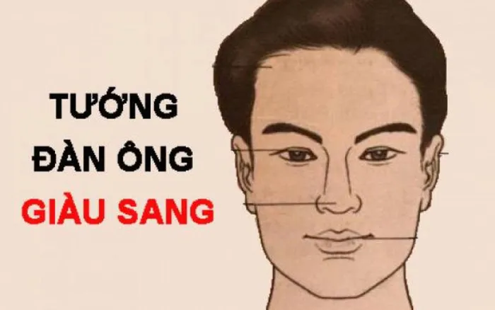 dan ong giau sang