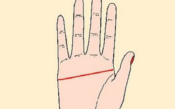 417-1645667530433970860326-0-0-623-997-crop-16456675345231964929691
