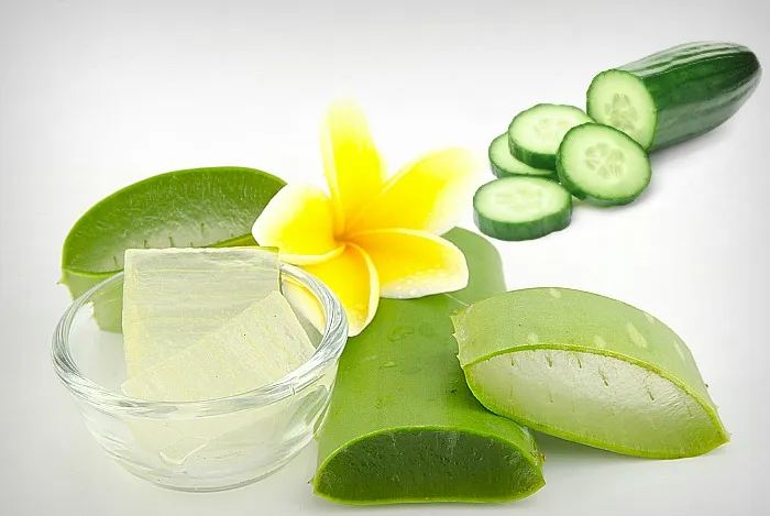 cucumber-and-aloe-vera