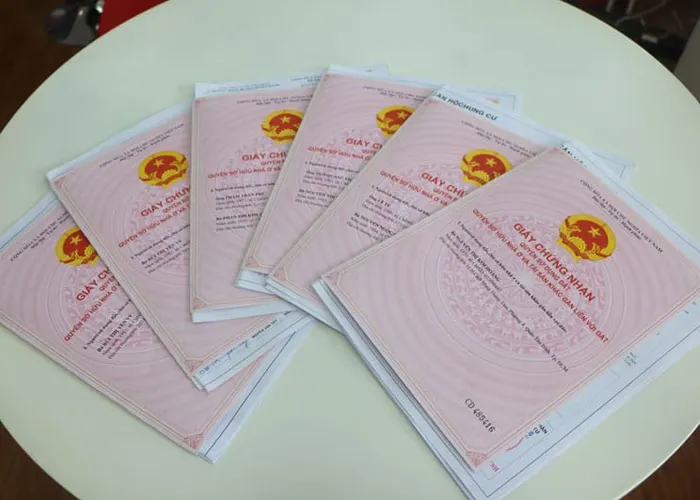 cach-tra-cuu-thong-tin-so-do-01