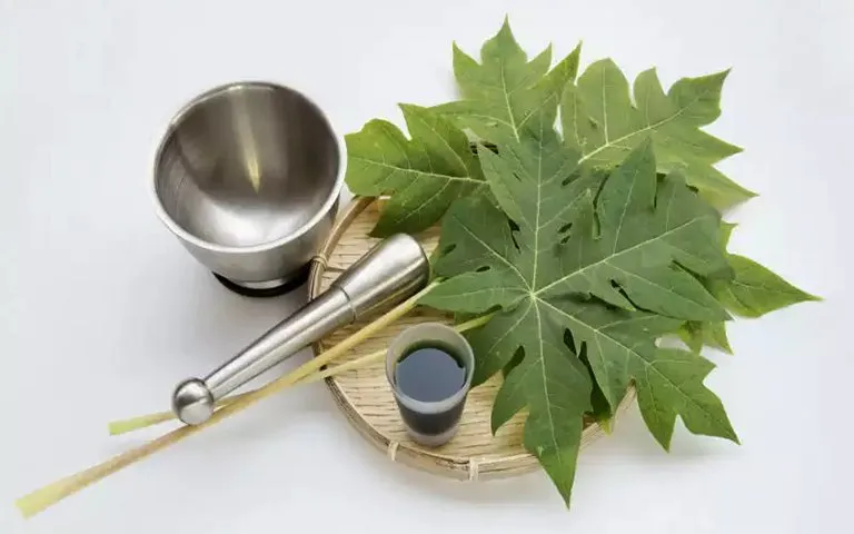 nuoc-la-du-du-02