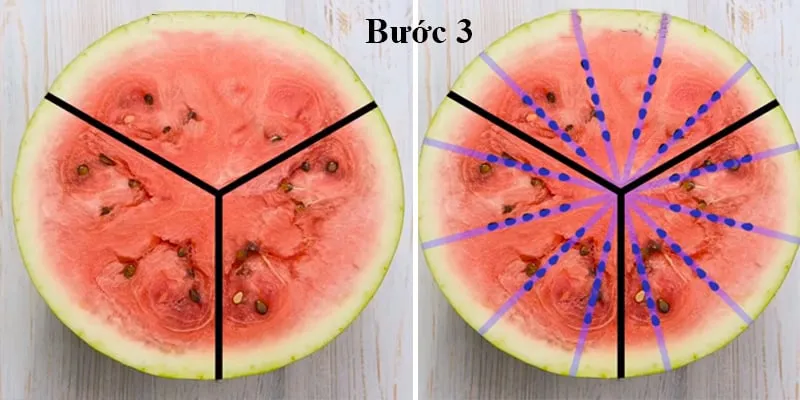 Thông thường, một quả dưa hấu sẽ có từ 12-15 hàng hạt và chúng nằm thẳng hàng như trong hình vẽ này.