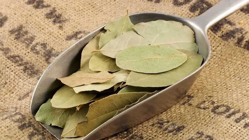 loai-la-cua-viet-nam-khong-ai-de-y-nhung-gia-2-trieu-dong-kg-tai-my (3)