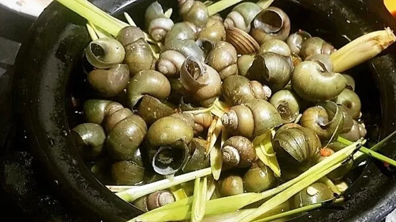 huong-dan-chi-tiet-cach-luoc-oc-ngon-khong-dut-ruot-cuc-don-tipsnote-800x450-5