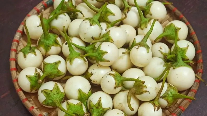 Cà pháo là một trong những ăn ngon miệng, đưa cơm, rất được nhiều người ưa thích.