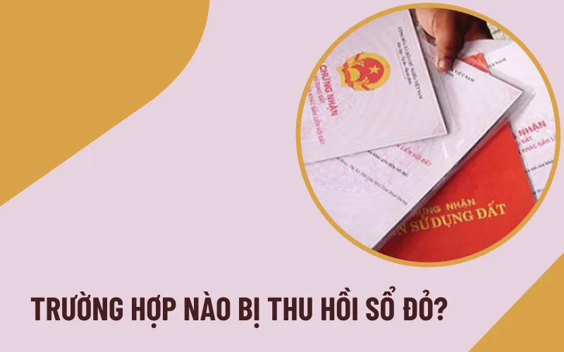 Ai bị thu hồi sổ đỏ 