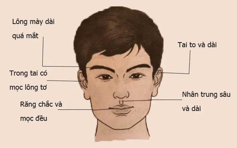 tuong-mat-cua-dan-ong-duoc-than-tai-chong-lung-phu-quy-ngap-nha