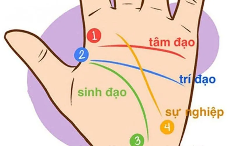 tuong-tay-thanh-cong-muon-01