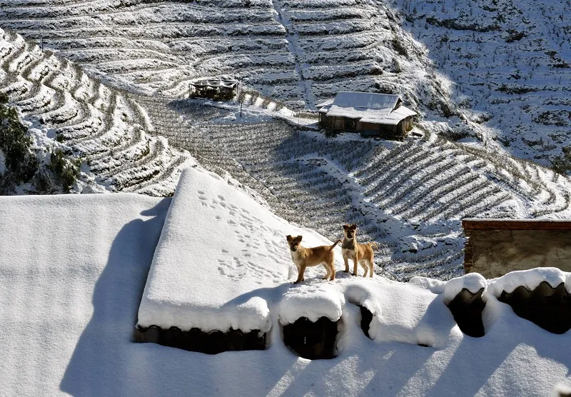 Diem-den-ly-tuong-trai-nghiem-mua-dong-xu-bac-wanderlusttips