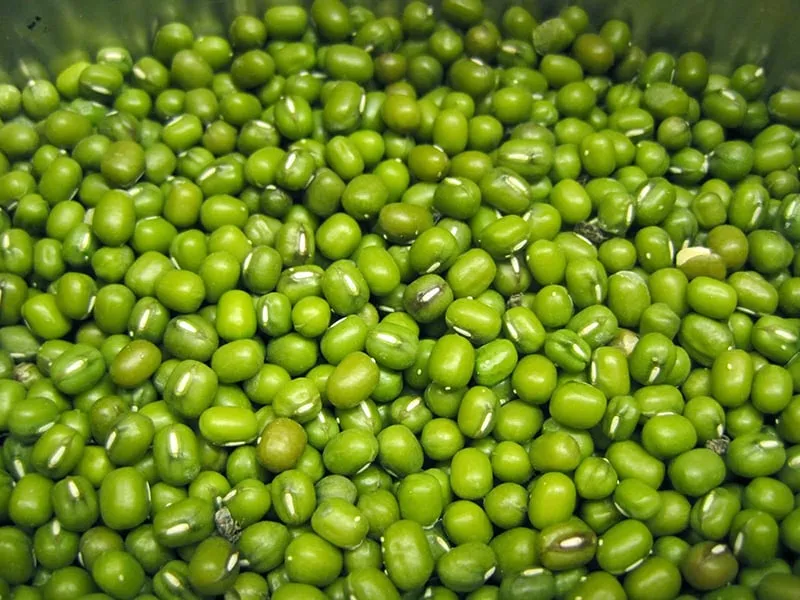 Làm sạch đỗ
