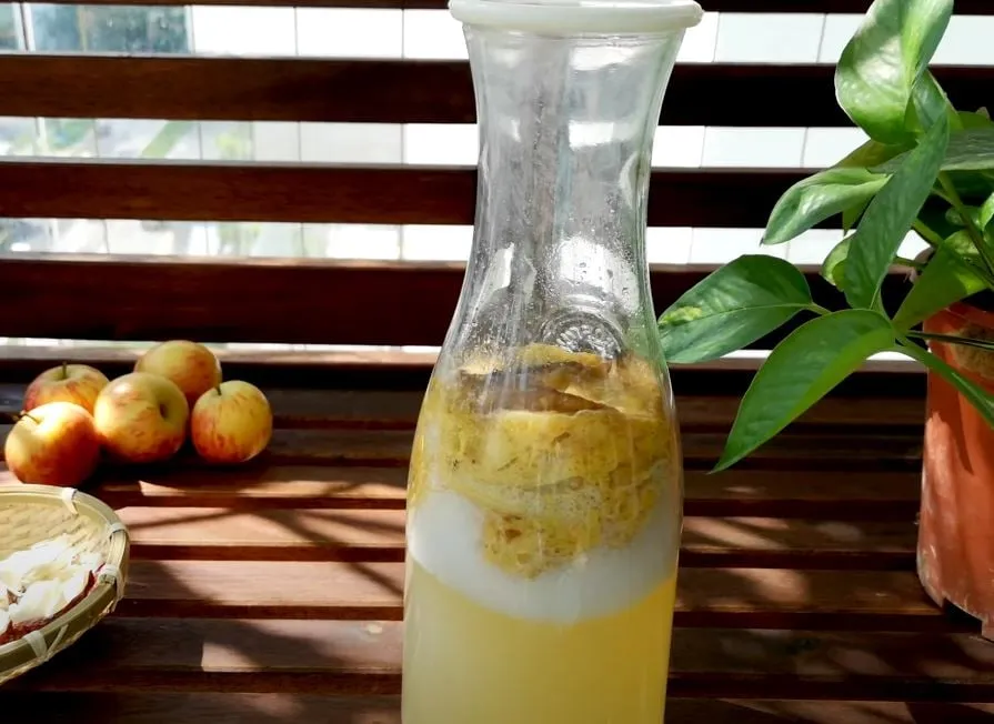 Chuối và nước đường sẽ dần dần lên men để tạo ra thành phẩm là giấm chuối thơm ngon. Việc từ làm giấm chuối tại nhà rất đơn giản, ai cũng có thể làm được.