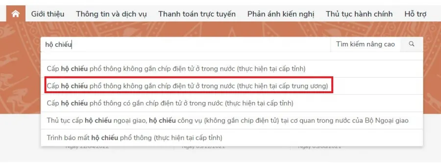 lam-ho-chieu-mau-moi-truc-tuyen-02