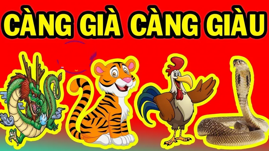 con-giap-cang-gia-cang-giau