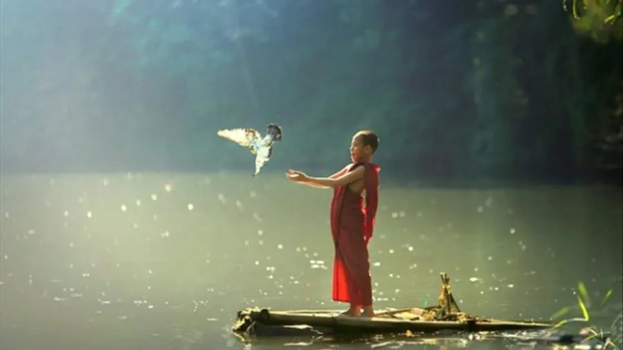 Song-khiem-ton-moi-la-dinh-cao-cua-su-hieu-biet