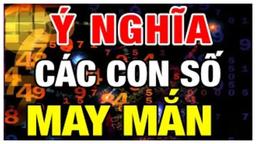 bien so xe may man ai co dang chuc mung