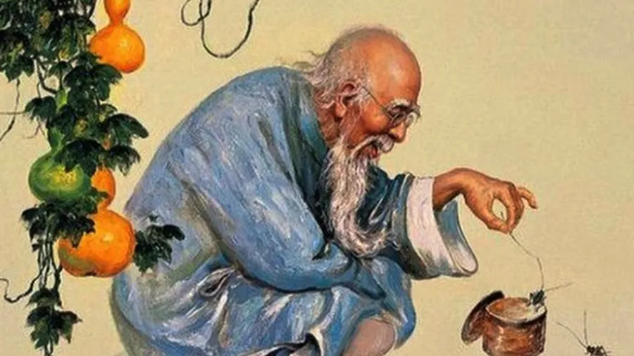16