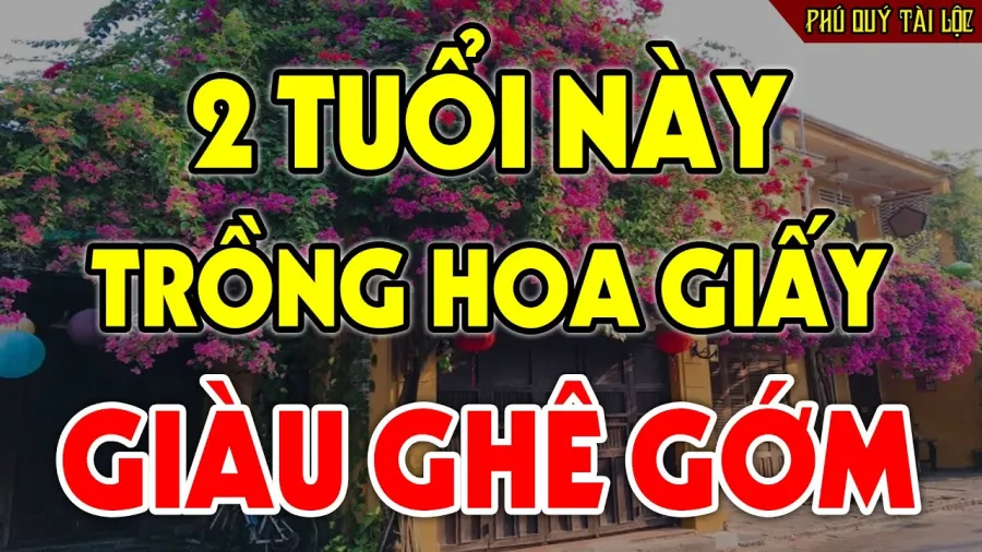 2 tuoi trong hoa giay giau ghe gom