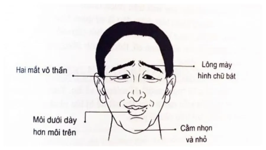 tuong dan ong ngheo kho ca doi