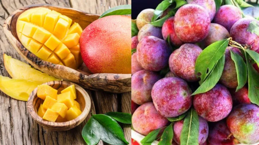 Xoài và mận là loại trái cây được nhiều chị em yêu thích. Tuy nhiên, nếu ăn nhiều, chị em có thể gặp tình trạng nóng trong, phát ban, nổi mụn.