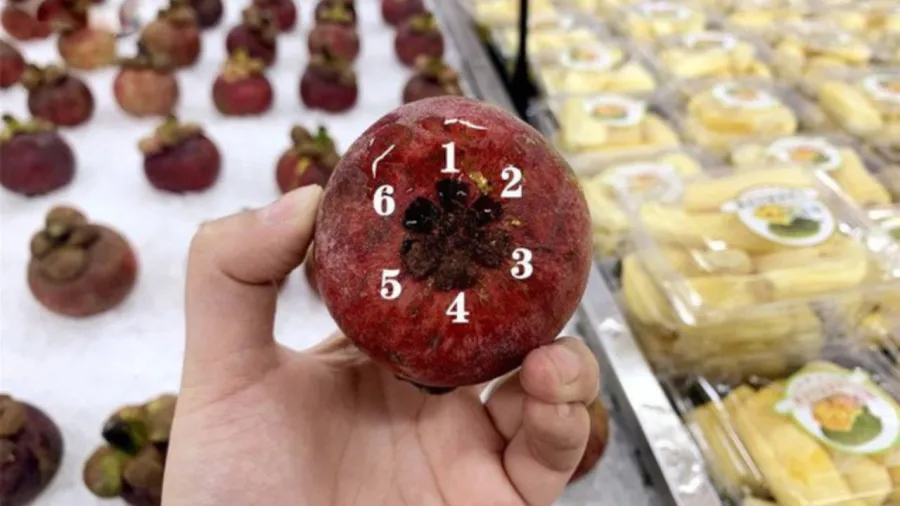 Số lượng cánh hoa này sẽ tượng trưng cho số múi có bên trong quả