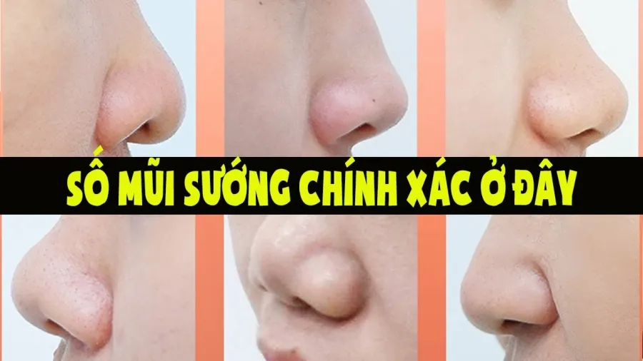 Dù là phụ nữ hay đàn ông có tướng mũi to, họ đều đa tài từ bé, dễ dàng phát triển sự nghiệp và tài lộc cũng đến với họ nhiều lần trong đời.