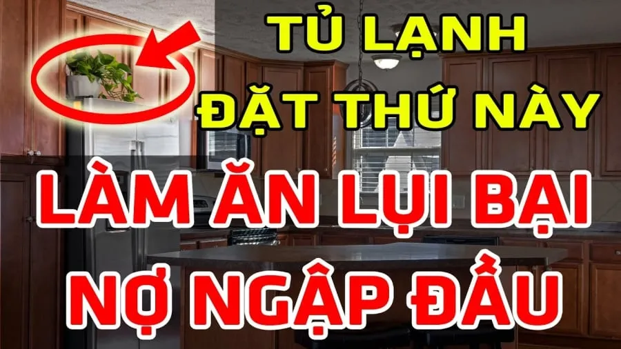 Không đặt cây cảnh lên nóc tủ lạnh