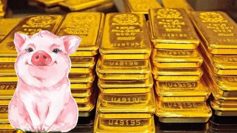Tử vi nói rằng tuổi Hợi là một trong những con giáp có vận số may mắn.