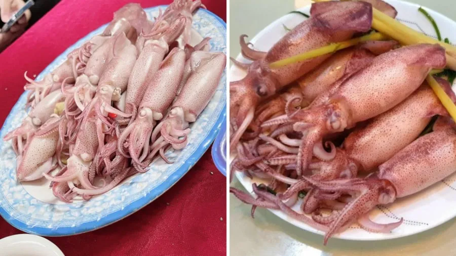 Chọn được mực tươi ngon thì khi luộc mực sẽ căng tròn, giòn và không bị tanh.