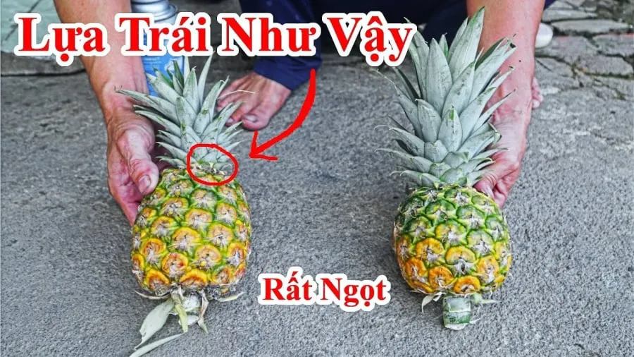 Chọn dứa ngon