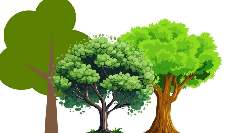 Hàng cây còn biết tự chữa lành