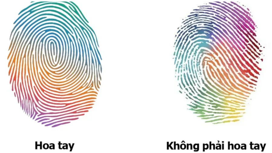 Nhìn số hoa tay biết tương lai bạn như thế nào