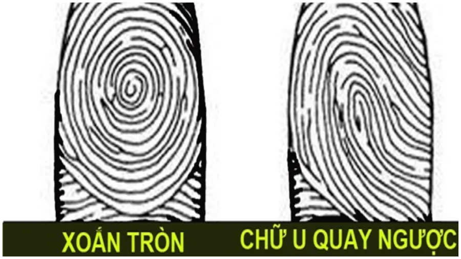 Nhìn số hoa tay biết tương lai bạn thành công hay thất bại
