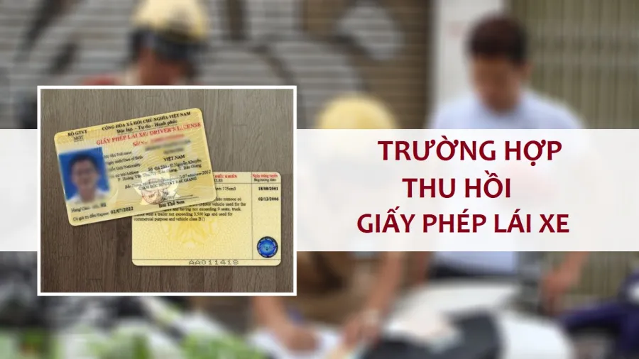 Người dân cần chú ý về quy định các trường hợp bị thu hồi giấy phép lái xe theo Luật Trật tự, an toàn giao thông đường bộ mới.
